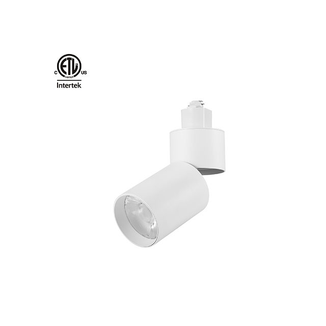 Cabeças de iluminação de pista com ângulo ajustável LED regulável 20W grau de feixe 15°-60° Spot Light para iluminação de destaque interna